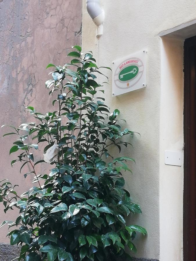 B&B Sotto Le Torri Albenga Exterior foto